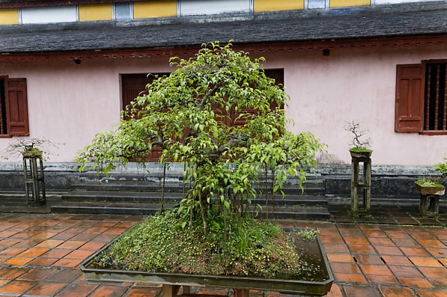 Hué-Pagode de la Dame Céleste-014